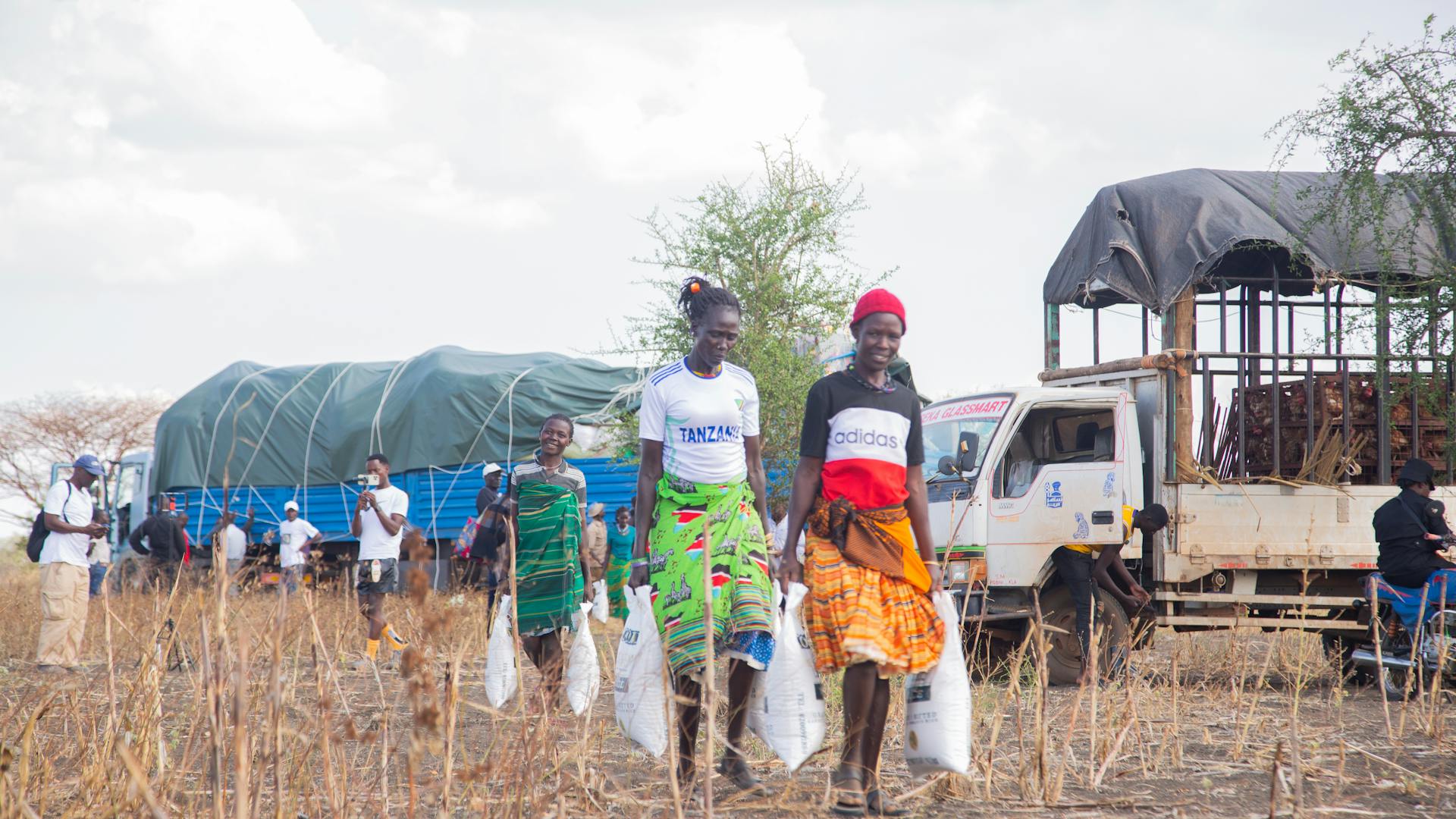 pexels-photo-33749791